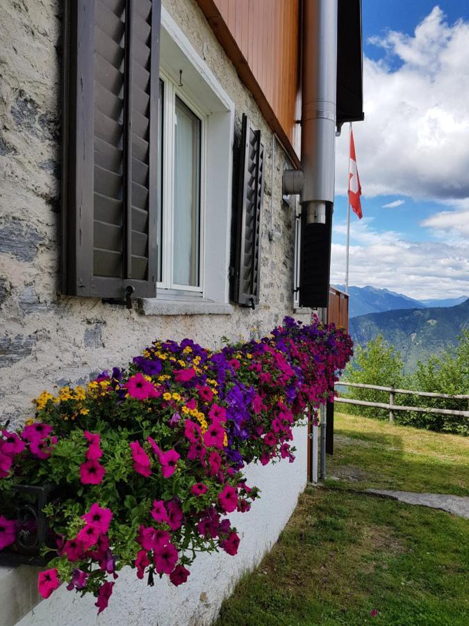 La Bola Otel Roveredo Dış mekan fotoğraf